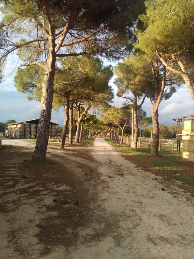 Biocampus La Roccaccia - Universita' Agraria Di Tarquinia Buitenkant foto