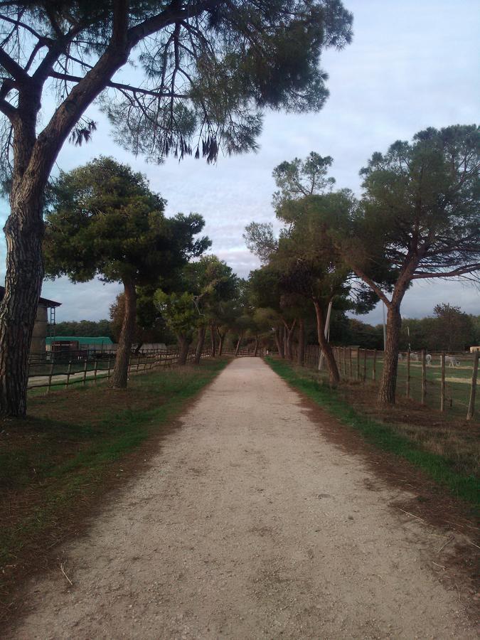 Biocampus La Roccaccia - Universita' Agraria Di Tarquinia Buitenkant foto