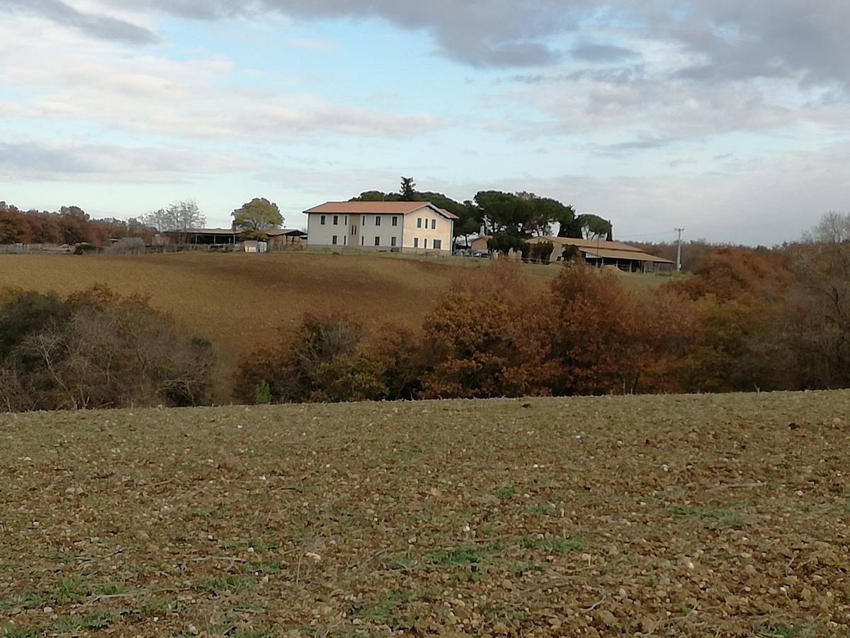 Biocampus La Roccaccia - Universita' Agraria Di Tarquinia Buitenkant foto