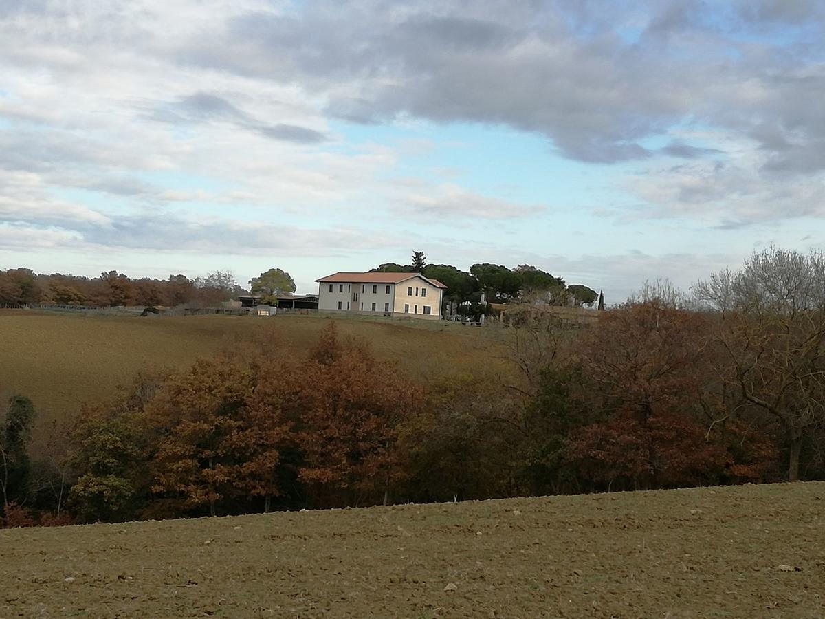 Biocampus La Roccaccia - Universita' Agraria Di Tarquinia Buitenkant foto